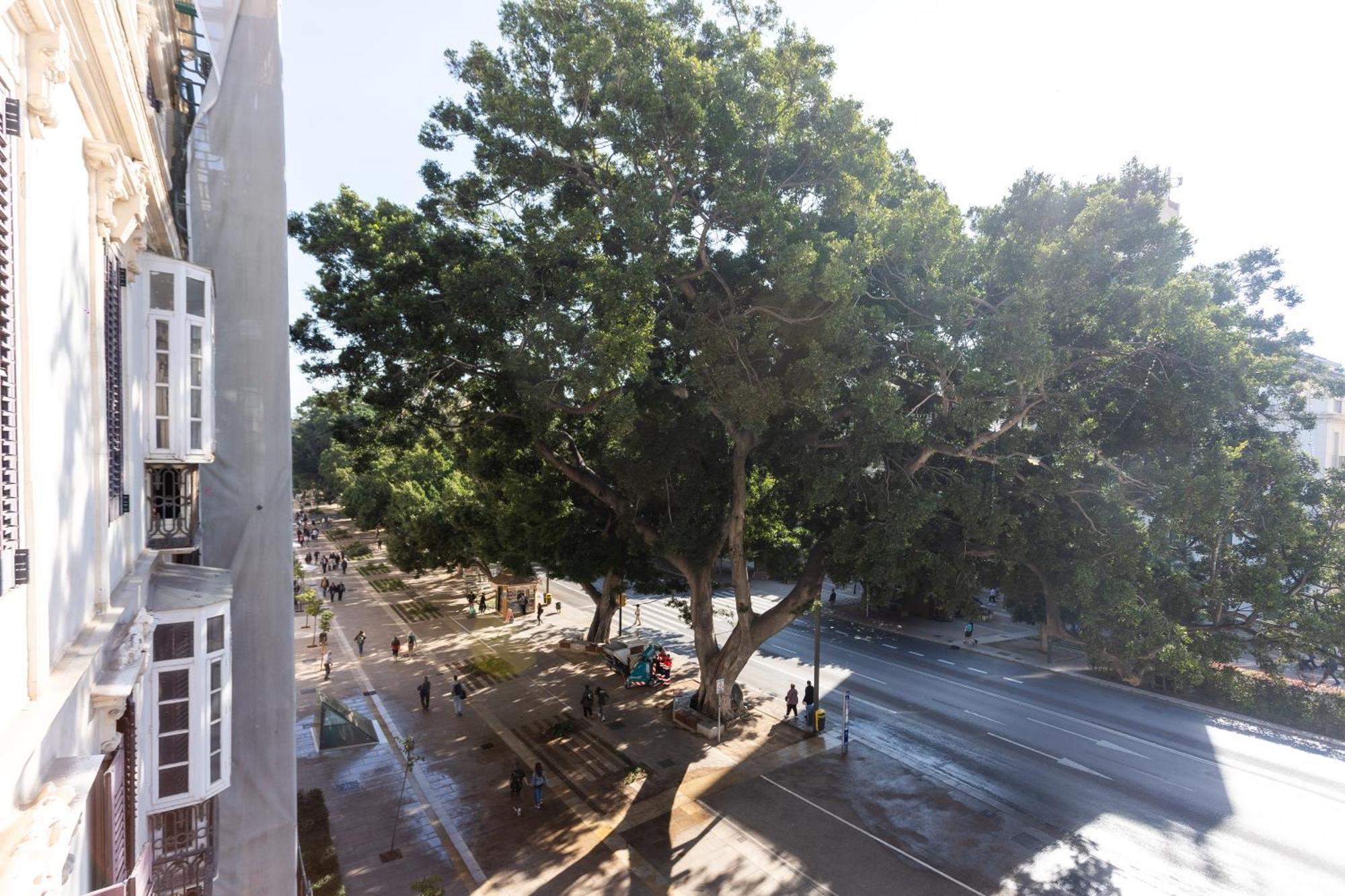 La Casa De La Alameda Apartment มาลากา ภายนอก รูปภาพ