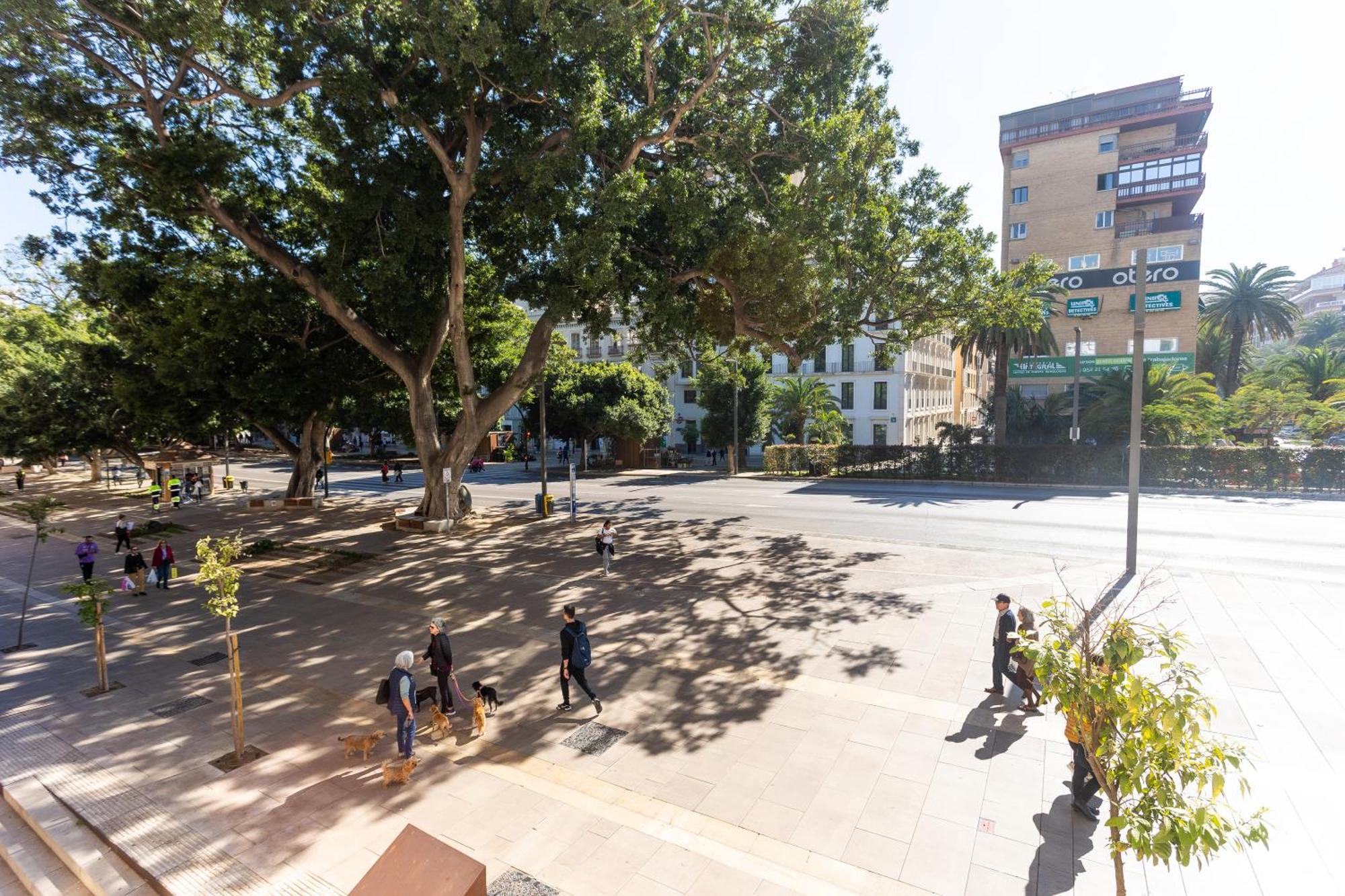 La Casa De La Alameda Apartment มาลากา ภายนอก รูปภาพ